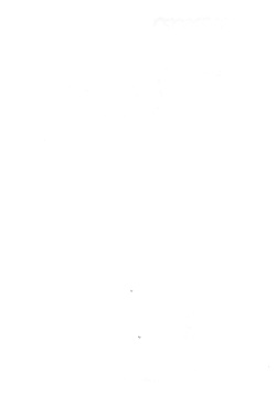 (SC2019 Spring) [Salt Peanuts (Niea)] Sweetheart Like You Junbi-gou (Nichijou) page 2
