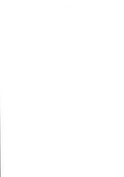 (C93) [Yagisaki Ginza (Yagami Shuuichi)] Elo Live! collection III (Love Live!) page 2