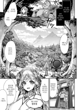 [Ichinose Land] Midara na Elf-san wa Orc-kun ga Osuki 2 [Korean] [Digital] page 2