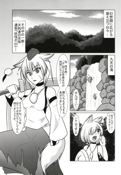[Rinji Party (Various)] Gensoukyou Yagai Play Goudou Touhou Seikanroku (Touhou Project) [Digital] page 10