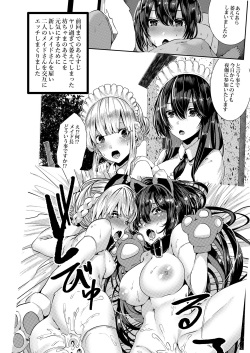[Karazishibotan (Bota Mochito)] Deredere Maid to Tsundere Maid to Inran Maid to Shikotama Ecchi page 3