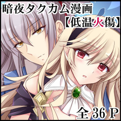 [PlatinumFish (Kirishima Riona)] Teion Yakedo (Fire Emblem If) [Digital] page 1