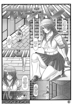 (C73) [Diogenes Club (Haikawa Hemlen)] Shokukan Mankan Zenseki (Ikkitousen) [French] {SAXtrad} page 5