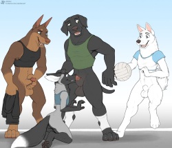 Foxball Match page 2