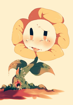 Flowey collection
