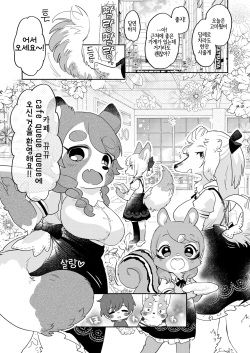 (Kemoket 12) [moffle (mabo)] Kimi no Shippo o Mofuritai! | 너의 꼬리를 쓰다듬고 싶어!  [Korean] [LWND] page 2