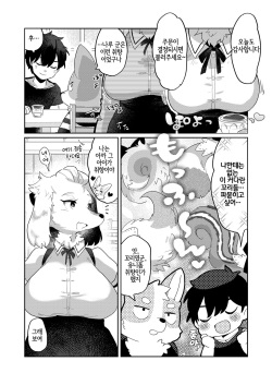 (Kemoket 12) [moffle (mabo)] Kimi no Shippo o Mofuritai! | 너의 꼬리를 쓰다듬고 싶어!  [Korean] [LWND] page 3