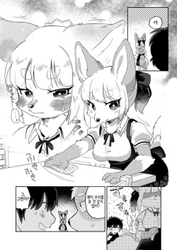 (Kemoket 12) [moffle (mabo)] Kimi no Shippo o Mofuritai! | 너의 꼬리를 쓰다듬고 싶어!  [Korean] [LWND] page 4