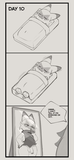 [KyuriSawa] Floragato &amp; Meowscarada (Pokemon) page 3