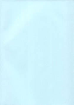 (C102) [Kazumiya (Arisu Kazumi)] Nonomi Massakari (Blue Archive) page 3