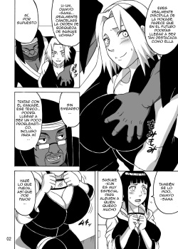 SakuHina Inninden page 3