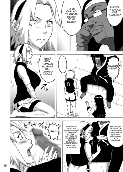 SakuHina Inninden page 5