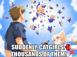 Catgirl Harem