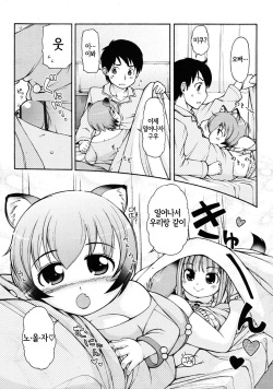 [LEE] Kemomimi Hayaoki Daisakusen | 케모미미 일찍 일어나기 대작전 (COMIC RiN 2011-08) [Korean] [LWND] page 5