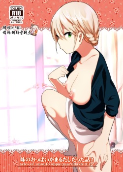 Imouto no Oppai ga Marudashi Datta Hanashi 2