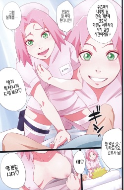 (C103) [Karakishi Youhei-dan Shinga (Sahara Wataru)] NARUTOP PINK (Naruto) [Korean] [실루엣21] page 10