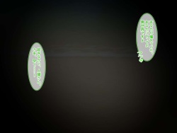 [Nyakku Hole (Ama Usagi)] Haramigoro no Bakunyuu Ajin Musume-tachi ni Isekai Shoukan sareta node Sokuhame Tanetsuke Suru Hanashi page 10