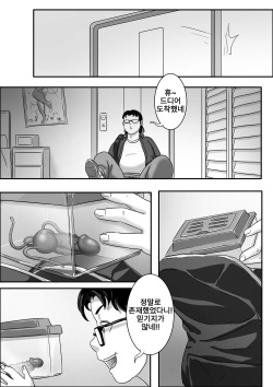 [Skyzen] Jisheng chong xilie Xiongmei | 기생충 시리즈 남매편 [Korean] [Decensored] page 7