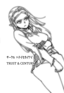 (CT30) [Haraise Kaiwai (Yucchris)] TRUST&amp;CENTURY (The Legend of Zelda) [Spanish] [El Palacio de la Lujuria] page 2