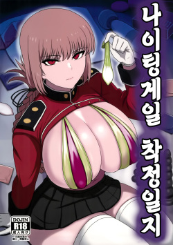 (C103) [Guhan Shounen] Nightingale Sakusei Nisshi | 나이팅게일 착정일지 (Fate/Grand Order) [Korean] page 1