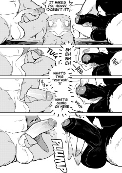 [INAX] White-Tailed Eagle and Owls [English] page 9